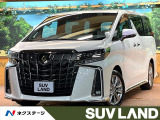 サンルーフ 純正9型ディスプレイ バックカメラ レーダークルーズ ETC