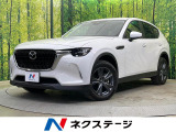 4WD ターボ 純正12.3型ナビ 全周囲カメラ 衝突被害軽減システム