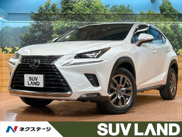 NX300 バージョンL