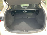 大きい荷物を積みたいときはこのように後部是席を倒してお使いいただくことができます!