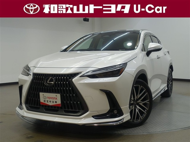 NX 250 バージョンL NX 250 バージョンL