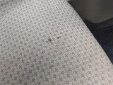 運転席の座面に、煙草によるダメージが見られます。 気になる方は、シートカバーなどをご使用頂ければ良いかと思います。