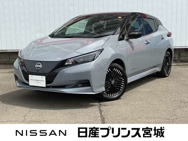 リーフ e+ X 