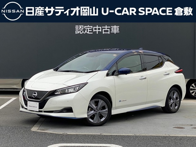 リーフ  e+ アーバンクロム