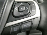 レーンディパーチャーアラート、白線を逸脱すると警告音でお知らせ、前をしっかり見てね!
