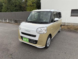 ムーヴキャンバス  ストライプス X