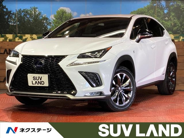 NX 300h Fスポーツ 