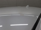 雹による被害箇所です。