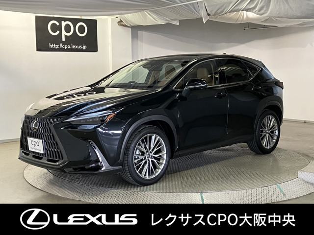 NX 250 バージョンL NX 250 バージョンL