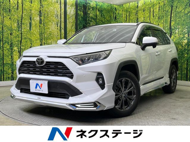RAV4 2.0 X 
