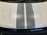 車体を貫くような、大胆なセンターストライプデカールです。