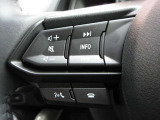 ステアリング左側にはオーディオコントロールスイッチを搭載。走行中でも簡単に音量の上げ下げ、曲の送り戻し、モードの切り替えが可能です。クイックに切り替えてお好みの音楽で楽しいドライブを!