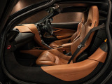 Carbon Black Luxury Leather, Arizona Tan Luxury Leather