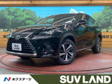 サンルーフ 純正10.3インチナビ サイド&バックカメラ 100V電源