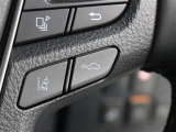 レーダークルーズコントロール作動時に車線維持に必要な運転操作の支援を行う「レーントレーシングアシスト(LTA)」を搭載しています。