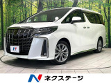 両側電動ドア 後席モニター バックカメラ 衝突被害軽減システム