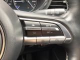 ミリ波レーダーで低速域〜高速域まで、先行車との車間を維持しながら追従走行を可能にします。長距離走行などでドライバーの負担を軽減します。