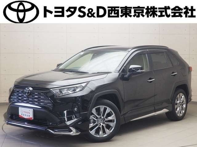 RAV4  2.0 G Zパッケージ 4WD