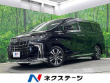 両側電動ドア 純正SDナビ 後席モニター 全周囲カメラ JBLサ