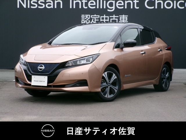 リーフ  X Vセレクション