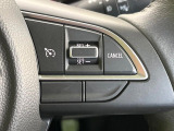 【クルーズコントロール】高速道路もラクラク走行。アクセルを離しても一定速度で走行ができ、長距離運転時の負担を軽減!加速・減速も簡単なスイッチ操作で調整できます。