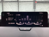 i-DM(インテリジェント・ドライブ・マスター)は運転操作の無駄を抑えたスムーズな運転をサポートし、快適なドライブや燃料消費を抑える事にも役立つアイテムです。