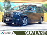 純正10インチナビ バックカメラ クルーズコントロール 両側パワスラ