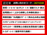 エルグランド 2.5 250ハイウェイスターS 両自ドア パワーバック
