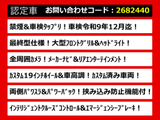 エルグランド 2.5 250ハイウェイスターS アーバンクロム 最終型仕様
