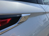 テールランプの端っこにDSロゴ!細部にまでこだわりを感じます。