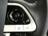 ステアリングスイッチで車両情報を切り替えて必要な必要な情報を確認したりできます。