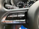 オーディオの音量などはハンドルのスイッチでわき見することなく安全に操作することができます。
