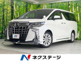 純正SDナビ 衝突被害軽減システム レーダークルーズ 両側電動ドア