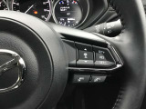 各種スイッチ操作の出来るステアリング。レーダークルーズコントロール付きで長距離の移動も楽になります☆