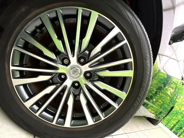 日産 エルグランド 2.5 250ハイウェイスターS の中古車詳細 (70,250km