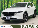禁煙車 10型ナビ 全周囲カメラ フルセグ 電動リアゲート
