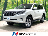 4WD 7人乗り BIG-X9型ナビ バックカメラ 後席モニター ETC