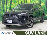 禁煙車 10型ナビ 全周囲カメラ フルセグ 電動リアゲート