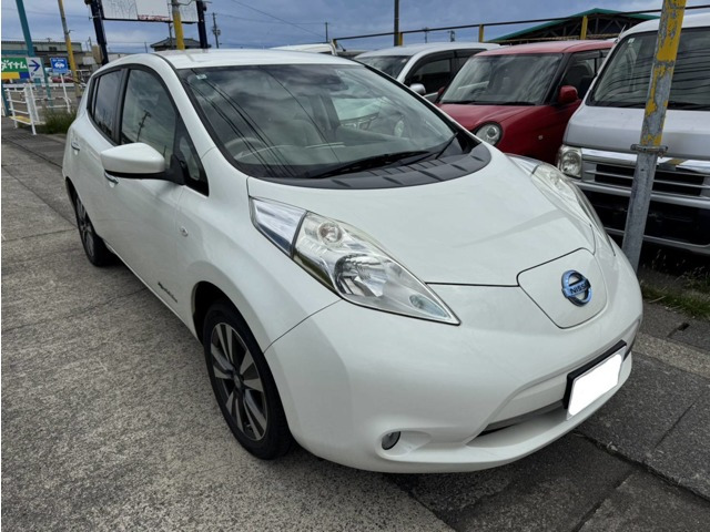 リーフ 24kWh X 