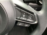 ミリ波レーダーで先行車との速度差や車間距離を認識。設定した車速内での車間距離を自動で調整・維持して、アクセル・ブレーキの操作なしで長距離ドライブの負担も軽減してくれます。