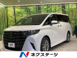 ガラスルーフ 両側電動ドア 全周囲カメラ 100V電源 衝突被害軽減装置