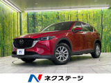 純正ナビ 全周囲カメラ スマートブレーキサポート レーダークルーズ
