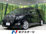4WD 両側電動ドア フリップダウンモニター SDナビ 後席モニター