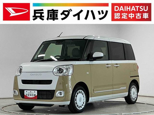 ムーヴキャンバス  ストライプス G