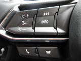 オーディオの音量やチャンネル操作ができるスイッチが、ハンドルに付いています。運転中でも、操作が行えて非常に安全・便利です!