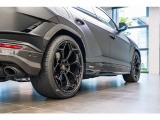 Wheel arches in carbon fiber - Shiny