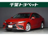 【メイン】 千葉・茨城・埼玉・東京・神奈川での登録、及びご来店いただける方への販売に限らせていただきます。