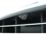 Front Grille - Satin Chrome
