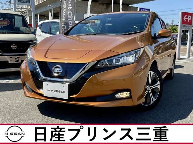 リーフ G
