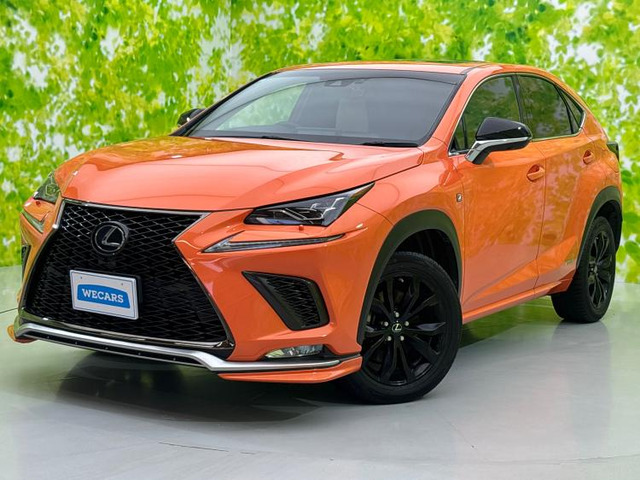 NX 300h Fスポーツ 